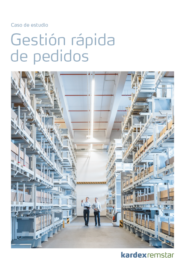 CaseStudy_ES_Replacedirect-1